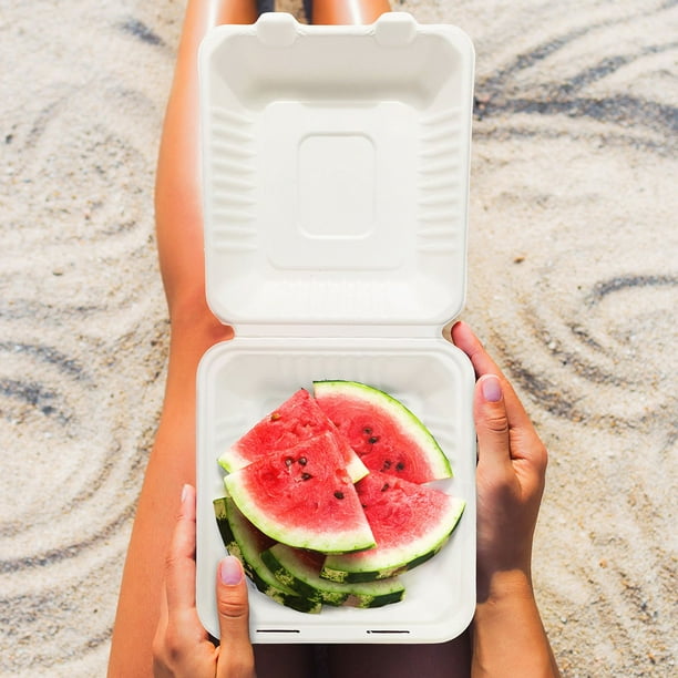 Earth Table Compostable Standard Paper Take-Out Container, 1