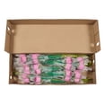 thumbnail image 7 of Member's Mark Gerbera Daisies, choose color and stem count, 7 of 7