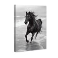 thumbnail image 1 of Graceful Horse Black and White Canvas Print by Oliver Gal Prints, 1 of 5