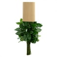 thumbnail image 5 of Member's Mark Ecuadorian Premium Roses, choose color variety and stem count, 5 of 7