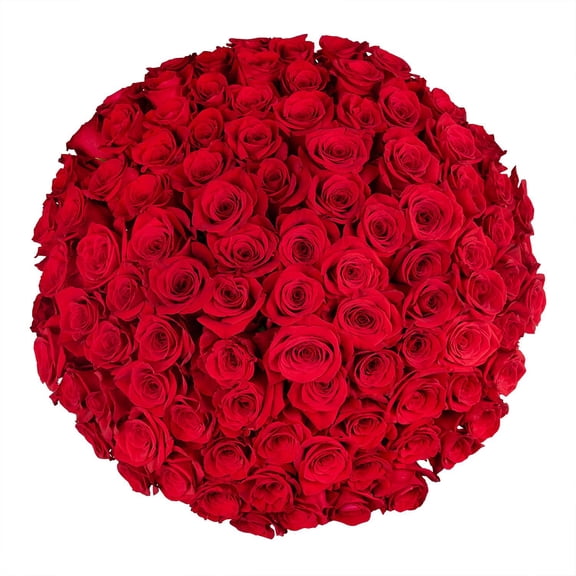 Member's Mark Roses, choose color and stem count