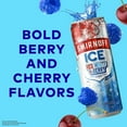 thumbnail image 3 of Smirnoff Ice Red, White & Berry Ready To Drink, 12 fl. oz. can, 12 pk., 3 of 8