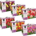 thumbnail image 2 of Member's Mark Landscape Boxed Bulbs, 2 of 11