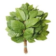 thumbnail image 1 of Member's Mark Salal Evergreen Floral Bouquet Tips, Choose quantity, 1 of 2