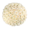 thumbnail image 1 of Member's Mark Ecuadorian Premium Roses, choose color variety and stem count, 1 of 6