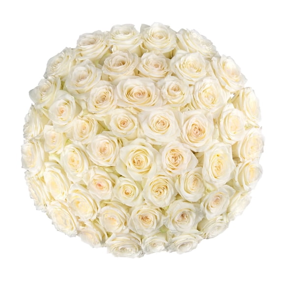 Member's Mark Ecuadorian Premium Roses, choose color variety and stem count