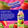 thumbnail image 8 of Snapple Juice Drink Variety Pack, 16 fl. oz., 24 pk., 8 of 14