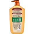 thumbnail image 2 of Garnier Whole Blends Honey Treasures Repairing Shampoo, 40 fl. oz., 2 of 8