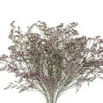 thumbnail image 1 of Member's Mark Limonium, 15 bunches, Choose color, 1 of 2