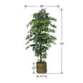 thumbnail image 6 of Faux 72" Ficus Tree in Roped-Style Handwoven Basket, 6 of 6