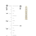 thumbnail image 7 of Round Cut In and Out Diamond Hoop Earrings in 14K Gold, 7 of 7