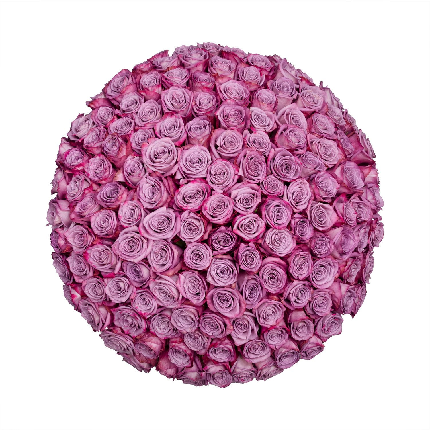 Member's Mark Ecuadorian Premium Roses, choose color variety and stem ...