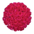 thumbnail image 1 of Member's Mark Ecuadorian Premium Roses, choose color variety and stem count, 1 of 7