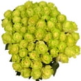 thumbnail image 6 of Member's Mark Illusion Roses, 96 stems, Choose color variety, 6 of 7