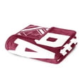 thumbnail image 5 of Logo Brands Virginia Union Panthers 60"x70" Super Plush Blanket, 5 of 6