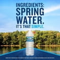 thumbnail image 3 of Ice Mountain 100% Natural Spring Water 16.9 fl. oz. 40 pk., 3 of 9