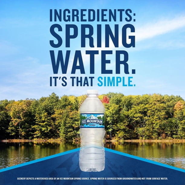 Ice Mountain 100% Natural Spring Water 16.9 fl. oz. 40 pk