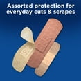 thumbnail image 5 of Band-Aid Brand Active Lifestyles Variety Pack Adhesive Bandages (173 ct.), 5 of 11
