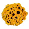 thumbnail image 1 of Member's Mark Sunflowers, choose quantity, 1 of 6