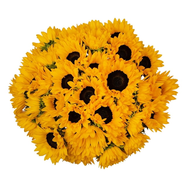Member's Mark Sunflowers, choose quantity