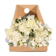 thumbnail image 5 of Member's Mark Mixed Farm Bunch, Simply White 8 bunches, 5 of 5