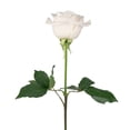 thumbnail image 3 of Member's Mark Roses, choose color and stem count, 3 of 8
