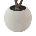 thumbnail image 2 of Faux 8' Deluxe Silver Dollar Eucalyptus Tree in Oversized Cream Pot, 2 of 6