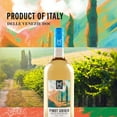 thumbnail image 3 of Member's Mark Pinot Grigio DOC Delle Venezie, 1.5 L, 3 of 7