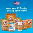 thumbnail image 8 of Arm & Hammer Pure Baking Soda, 13.5 lbs., 8 of 15
