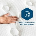 thumbnail image 5 of Molecule 13" Medium Firm Hybrid Mattress, 5 of 8