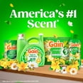 thumbnail image 9 of Gain In-Wash Laundry Scent Booster Beads, Original Scent, 39.9 oz., 9 of 10