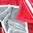 thumbnail image 6 of Logo Brands New Mexico Lobos 60"x70" Super Plush Blanket, 6 of 6