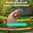 thumbnail image 3 of Birdfy Smart Metal Bird Feeder with Built-in Solar Panel and AI Camera, 3 of 11