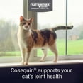 thumbnail image 3 of Nutramax Cosequin Joint Health Supplement for Cats, 55 capsules, 3 of 11