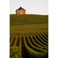 thumbnail image 4 of Moet & Chandon Nectar Imperial Champagne 750 ml, 4 of 5
