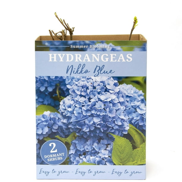 Hydrangea or Lilac Shrubs 2 pk. - Samsclub.com