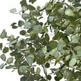 thumbnail image 3 of Faux 8' Deluxe Silver Dollar Eucalyptus Tree in Oversized Cream Pot, 3 of 6