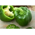 thumbnail image 3 of Green Bell Peppers, 6 ct., 3 of 4