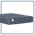 thumbnail image 8 of Sealy Modesto Medium Innerspring Mattress (Special Edition), 8 of 8