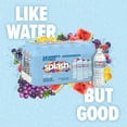thumbnail image 4 of Splash Refresher Variety Pack 16.9 fl. oz., 24 pk., 4 of 6