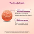 thumbnail image 4 of OLLY Adult Probiotic + Prebiotic Digestive Support Gummy, Peach, 70 ct., 4 of 11