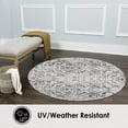 thumbnail image 5 of Nicole Miller New York Patio Sofia Juniper Area Rug, 5 of 8