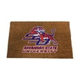 thumbnail image 1 of Logo Brands Savannah State Tigers Doormat, 1 of 5