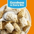 thumbnail image 5 of Frosted Mini-Wheats Cereal, 55 oz., 5 of 8