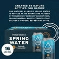 thumbnail image 3 of Proud Source Spring Water Original 12 fl. oz., 16 pk., 3 of 5
