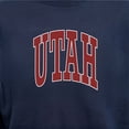 thumbnail image 6 of State of Mine Varsity Arch State Fleece Sweatshirt, 6 of 7