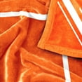 thumbnail image 6 of Logo Brands Clemson Tigers 60"x70" Super Plush Blanket, 6 of 6