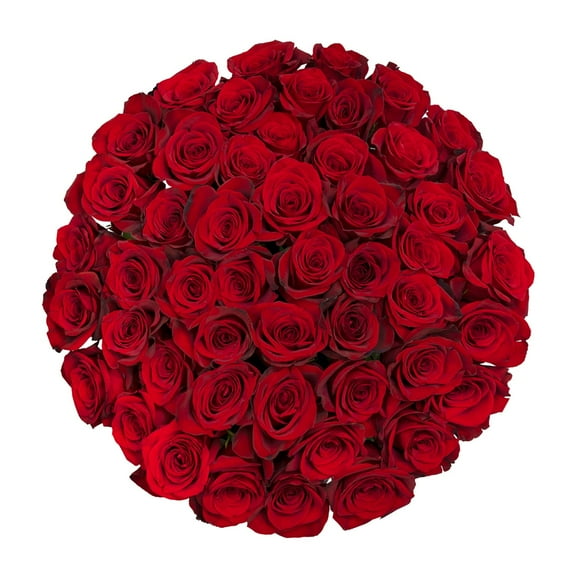 Member's Mark Ecuadorian Premium Roses, choose color variety and stem count