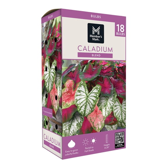 Member's Mark Caladium Blend Dormant Bulbs, 18pk