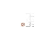 thumbnail image 5 of Cushion Cut Gemstone and 0.15 CT. T.W. Halo Diamond Stud Earrings in 14K Gold, 5 of 5